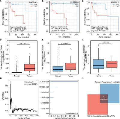 Identification of LINC00654-NINL Regulatory Axis in Diffuse Large B-Cell Lymphoma In Silico Analysis